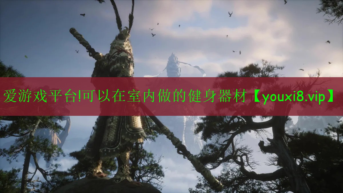 愛(ài)游戲平臺(tái)!可以在室內(nèi)做的健身器材