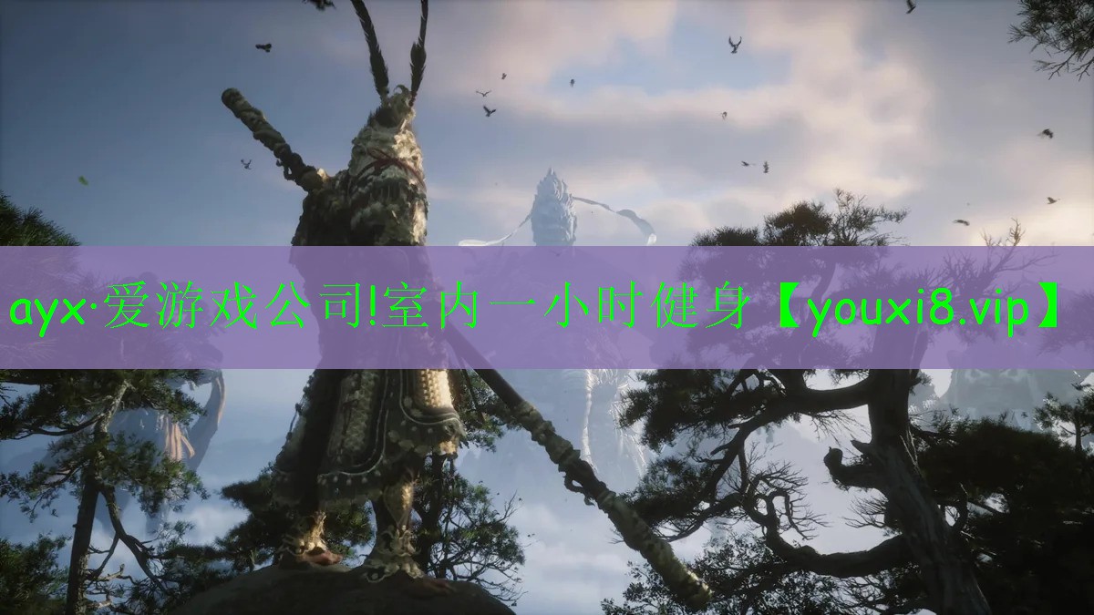 ayx·愛游戲公司!室內一小時健身