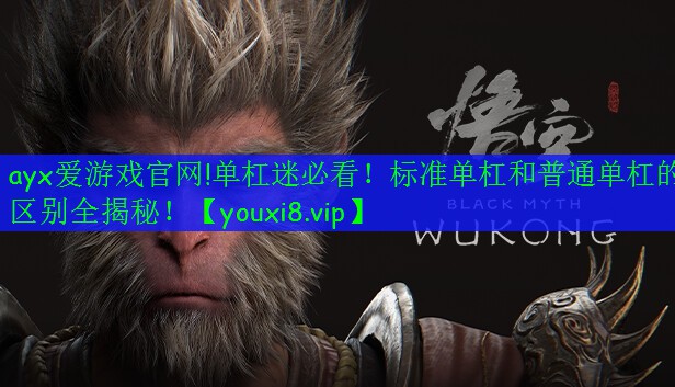 ayx愛游戲官網!單杠迷必看！標準單杠和普通單杠的區(qū)別全揭秘！