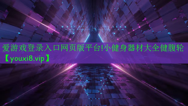 愛游戲登錄入口網頁版平臺!小健身器材大全健腹輪