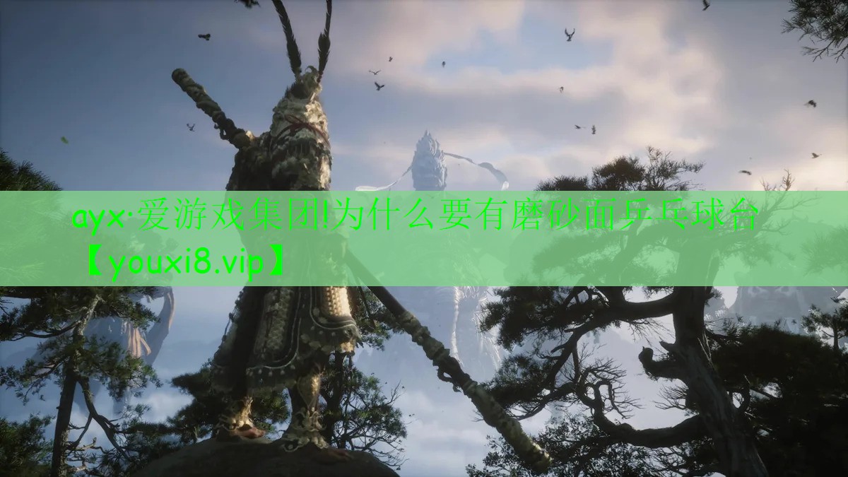 ayx·愛游戲集團!為什么要有磨砂面乒乓球臺