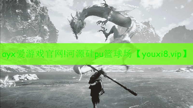 ayx愛(ài)游戲官網(wǎng)!河源硅pu籃球場(chǎng)