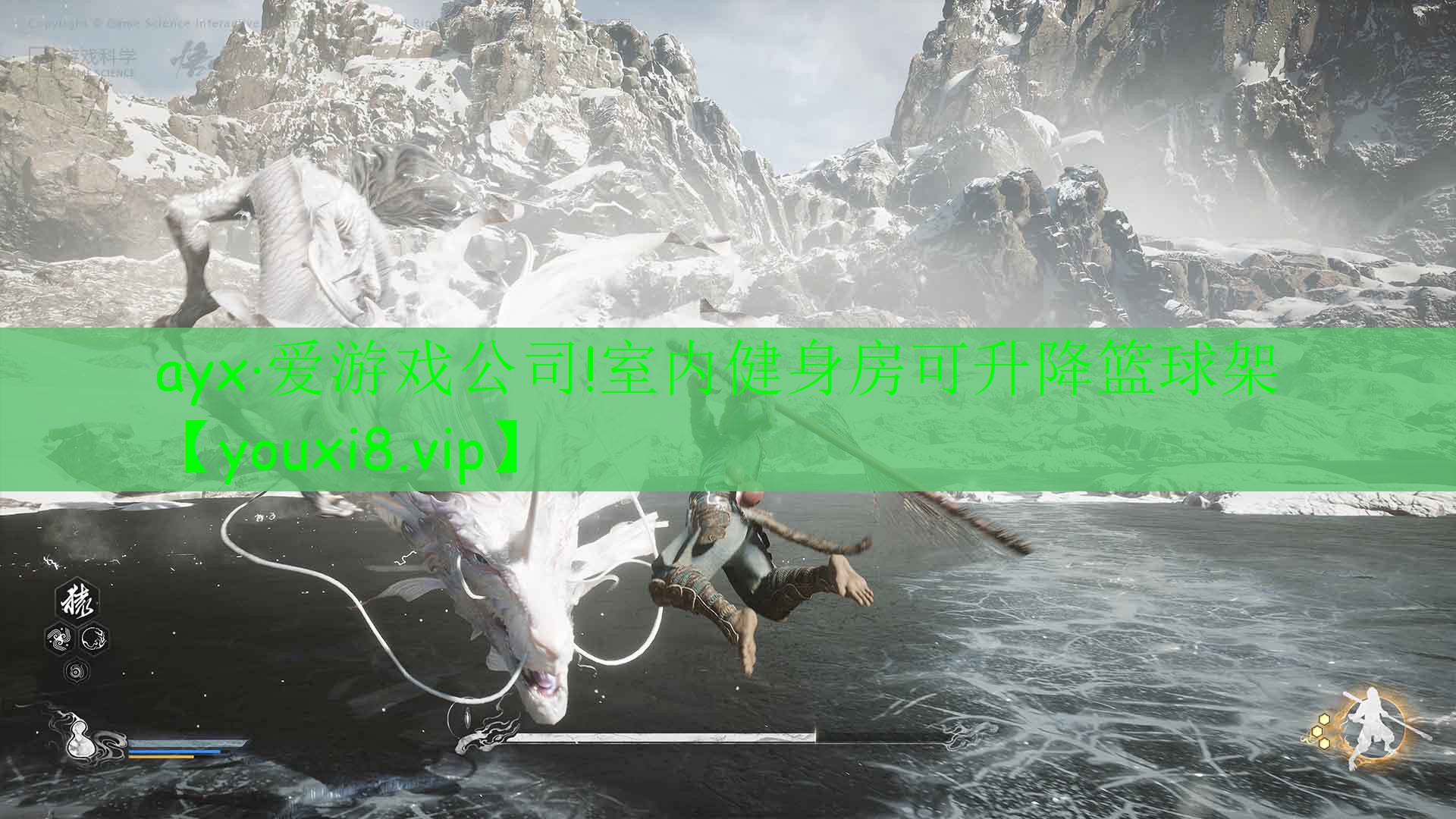 ayx·愛游戲公司!室內(nèi)健身房可升降籃球架