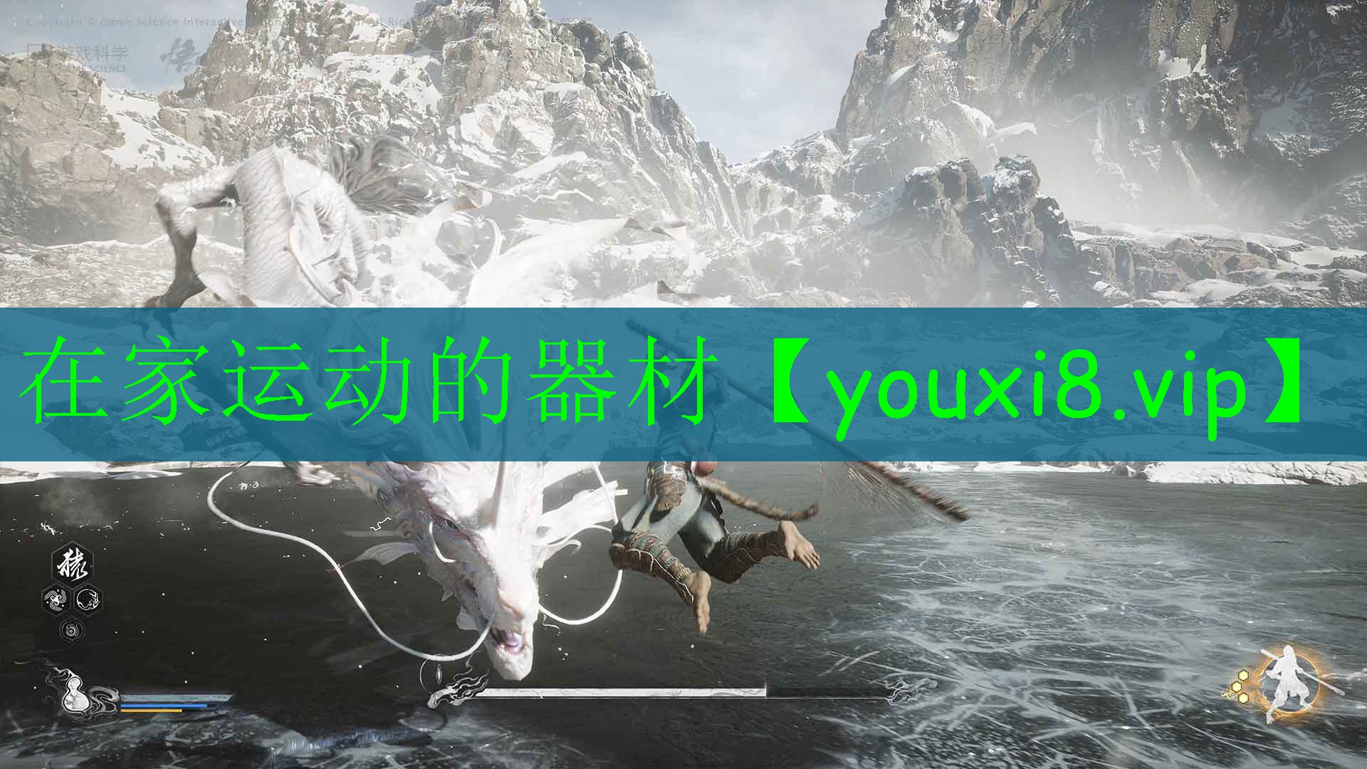 在家運(yùn)動(dòng)的器材 在家運(yùn)動(dòng)的器材