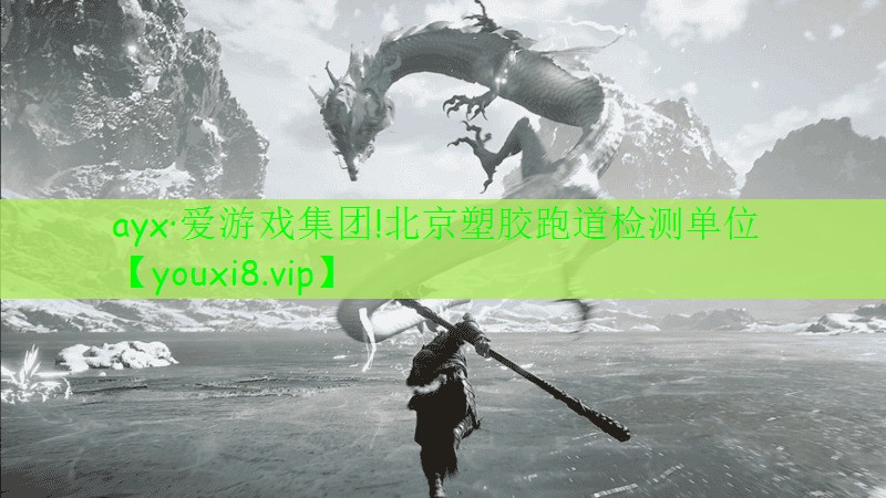 北京塑膠跑道檢測(cè)單位 北京塑膠跑道檢測(cè)單位