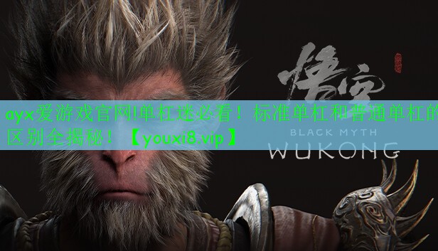 單杠迷必看！標(biāo)準(zhǔn)單杠和普通單杠的區(qū)別全揭秘！