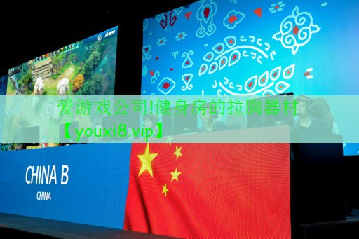 健身房的拉胸器材